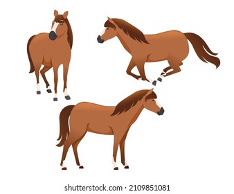 Set of horse wild or domestic animal running cartoon design flat vector illustration isolated on white background