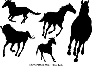 set of horses