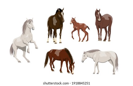 102,697 Horse standing Images, Stock Photos & Vectors | Shutterstock