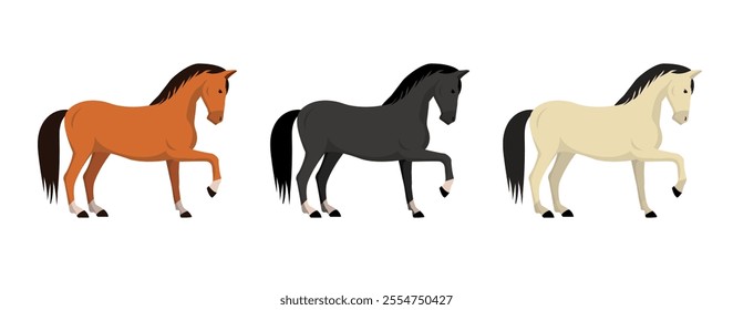 Set of horses in different coat colors isolated on white background. Vector stock