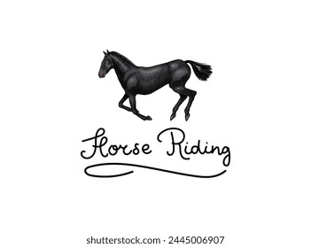 Un Conjunto De Caballos En Diferentes Poses Sobre Un Fondo Blanco. Logo animal dibujado a mano. Emblema de contorno de grabado en madera, boceto de insignia. Ilustración grabada en Vector para logo y tatuaje o camisetas.