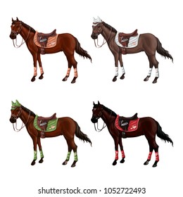 Set of horses of different suits in different ammunition for jumping - saddle, cap, bridle, halter, wagtrap, stamping. Riderless.