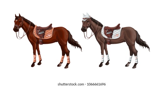 Set of horses of different suits in different ammunition for jumping - saddle, cap, bridle, halter, wagtrap, stamping. Riderless.