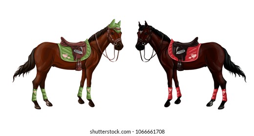 Set of horses of different suits in different ammunition for jumping - saddle, cap, bridle, halter, wagtrap, stamping. Riderless.