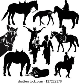 set horses isolated on white background