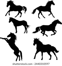 Set of horses silhouette illustration full body in various pose like running, standing, and rearing.