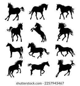 Set of horses silhouette vector illustration