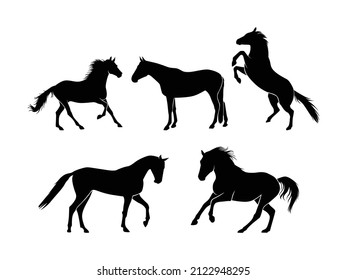 Set of Horses Silhouette Vector Isolated - Animal Silhouette Illustration