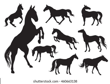 Set of horses silhouettes