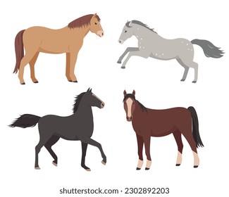 Juego de caballos en diferentes poses. Iconos animales domésticos de granja aislados en fondo blanco. Ilustración vectorial o caricatura.