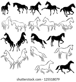 Set of horses, horses in various poses, vector illustration