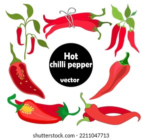 set of hot, burning chili peppers - whole pod on branch, ripe vegetable, cut in half with seeds, bunch of pepper tied with  rope. Vector graphics. Eco-friendly, free nitrates. 