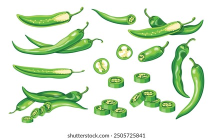 Set of hot green chili peppers in cartoon style. Vector illustration of fresh and spicy chili peppers: whole, sliced, halves, with seeds isolated on white background. Healthy vegetables. Burning.