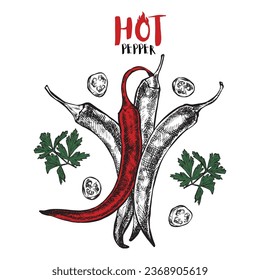 Set of hot peppers in vintage line style. Spicy sauce for chicken. Illustration for a booklet or menu in a restaurant or cafe.