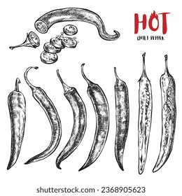 Set of hot peppers in vintage line style. Spicy sauce for chicken. Illustration for a booklet or menu in a restaurant or cafe.