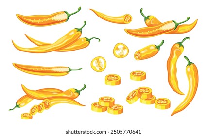 Set of hot yellow chilli peppers in cartoon style.Vector illustration of fresh and spicy chilli pepper:seeds, green stems, sliced, whole, half isolated on white background. Paprika. Useful vegetables.