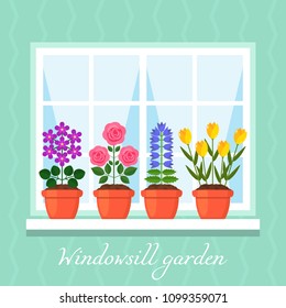 A set of house colors in pots on the windowsill near the window. Beautiful bouquets of roses, chamomile, violet. The concept of gardening. vector illustration isolated 