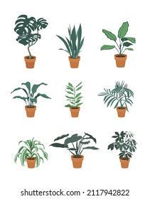Set of house flowers in pots isolated on white background.Vector illustration.