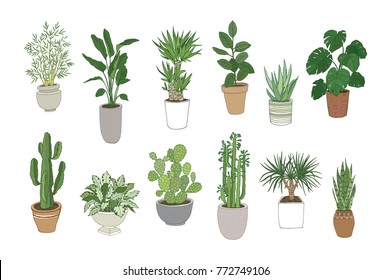 Set of house indoor plant vector cartoon doodle illustration. 