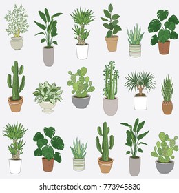 Set Of House Indoor Plant Vector Cartoon Doodle Seamless Pattern. 