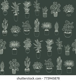 Set of house indoor plant vector cartoon doodle seamless pattern. 