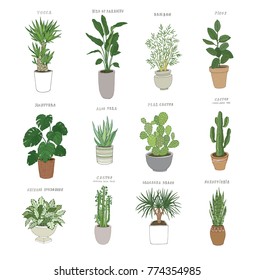 Set Of House Indoor Plant Vector Cartoon Doodle Illustration. 