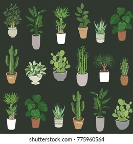 Set of house indoor plant vector cartoon doodle seamless pattern. 