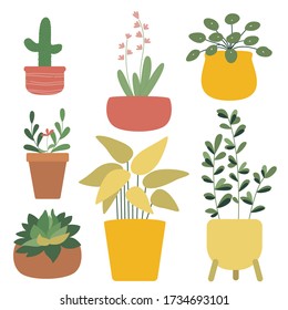 Set of house indoor plants in pots. Cactus, pilea, ficus, succulent, calathea, snowdrop. Home decor, hobby, growing potted plants at home concepts. Flat cartoon. Vector stock illustration.