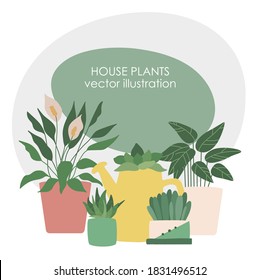 Set of house indoor plants in pots - peace lily, succulent, aloe vera, cactus and calathea . Square banner for social media mobile apps with copy space. Template for social media posts. Cottage core