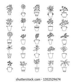 Set of house plant. Cute plants, flowers in different pots. Hand drawn illustration. Creative decorative elements.