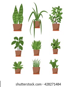 Set of house plant isolated.