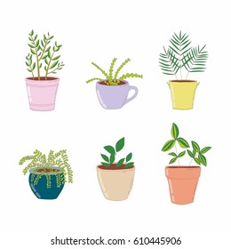Set of house plant isolated. Colorful sketch home plant. Cute plants, flowers in different colorful pots. Hand draw illustration. Creative decorative elements. 
