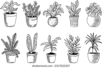 Set of house plant isolated. Vector linear sketch house plant pot illustration