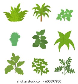 Set of house plant isolated. vector illustration.