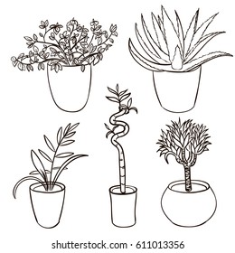 Set of house plant isolated. Vector sketch house plant pot illustration
