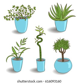 Set of house plant isolated. Vector colorful sketch house plant pot illustration
