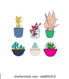 Set of house plant isolated. Vector  illustration. Colorful house plants in pot for your design.
