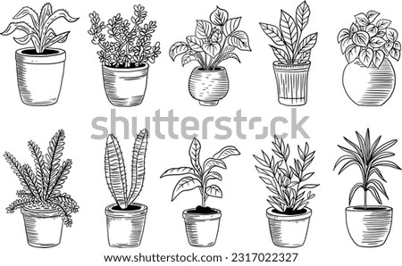Set of house plant isolated. Vector linear sketch house plant pot illustration