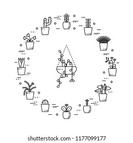 Set of house plant in round shape