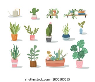 Set of house plant vector flat illustration