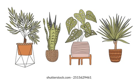 Conjunto de plantas da Casa desenhos contornos coloridos.