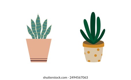 Set house plants in colorful hand made ceramic pots.  Cute indoor plants.Decorative natural elements for home decor. 