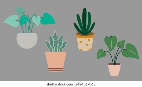 Set house plants in colorful hand made ceramic pots.  Cute indoor plants.Decorative natural elements for home decor. 