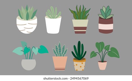 Set house plants in colorful hand made ceramic pots.  Cute indoor plants.Decorative natural elements for home decor. 