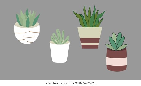 Set house plants in colorful hand made ceramic pots.  Cute indoor plants.Decorative natural elements for home decor. 