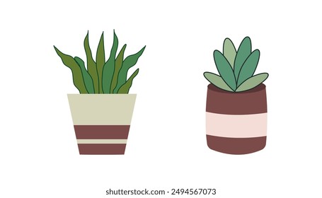 Set house plants in colorful hand made ceramic pots.  Cute indoor plants.Decorative natural elements for home decor. 