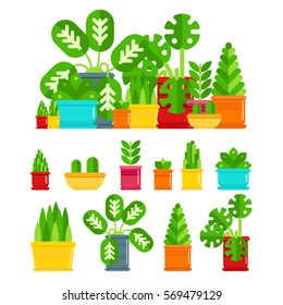 Set of house plants. Colourful plants isolated vector flat illustration. House plants  for your design. Plant icon isolited on white the background. Composition of plants vector.