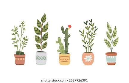 Set of house plants in decorative pots, vector illustration in flat style on white background
