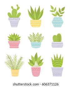 Set of house plants in decorative pots. Hand-draw vector.