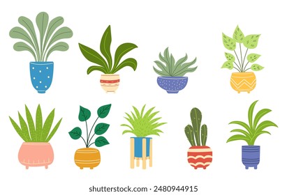 Set of house plants in doodle style. Indoor plants in different pots. Home jungle. Great for banners, posters, stickers, professional designs.